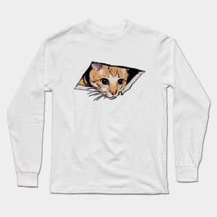 Mudwizard draws the ceiling cat meme / funny animal meme Long Sleeve T-Shirt